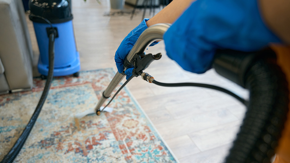 Carpet Cleaning Churchill Cleaning Services