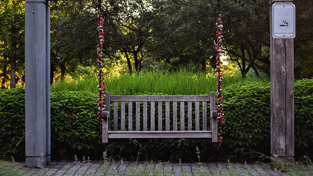 Edina MN Churchill Cleaning Services